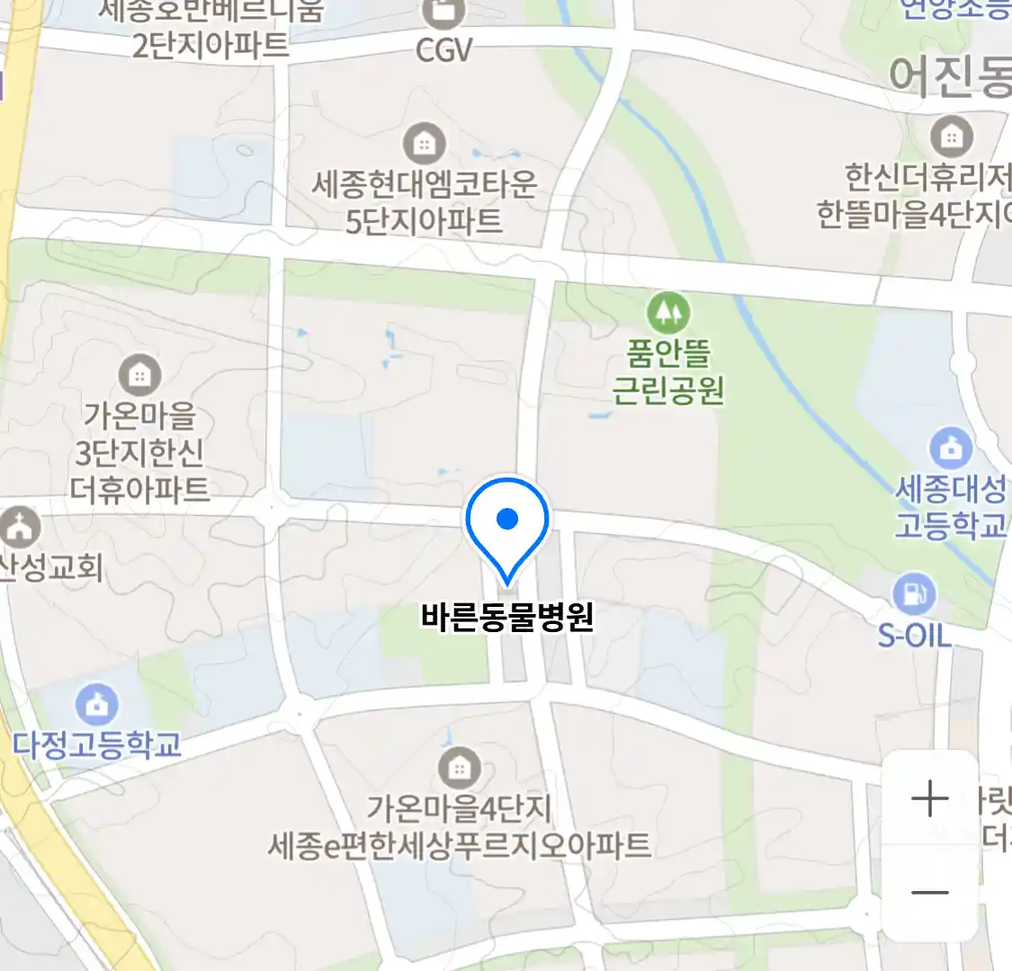 바른동물병원