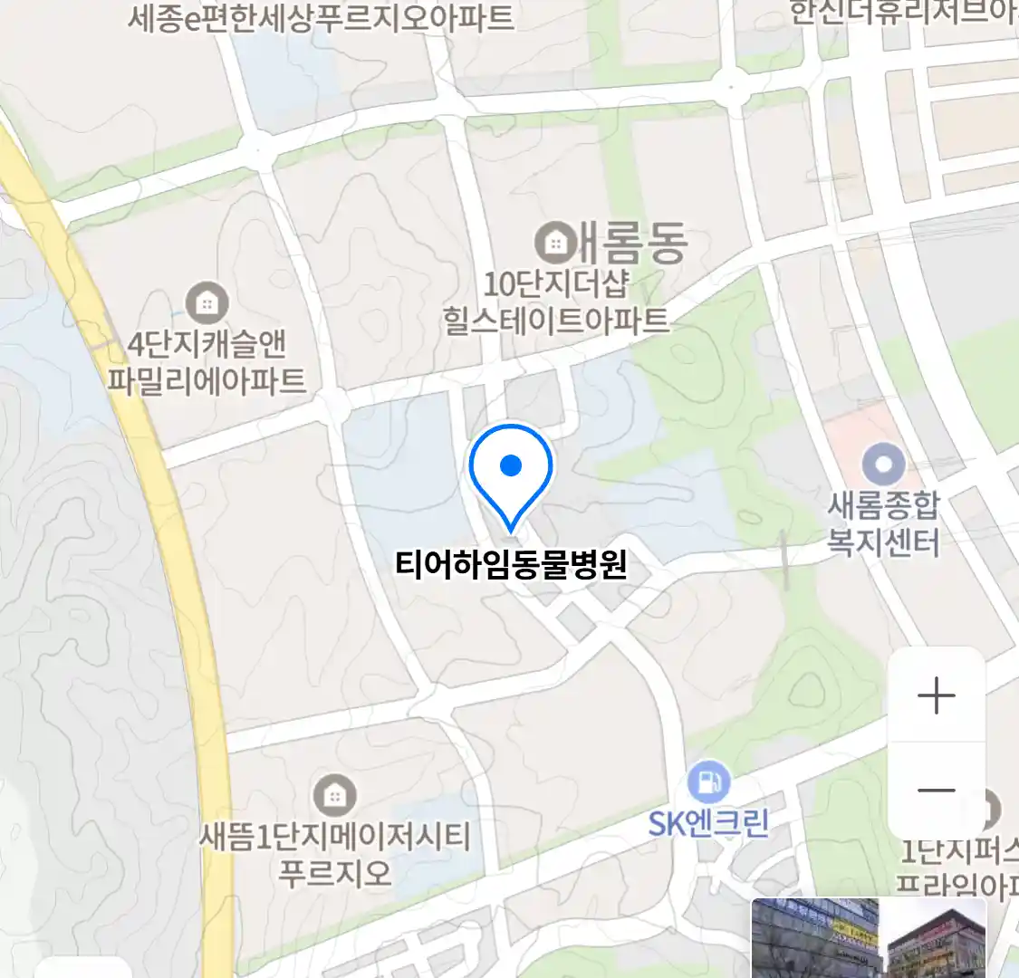 티어하임동물병원