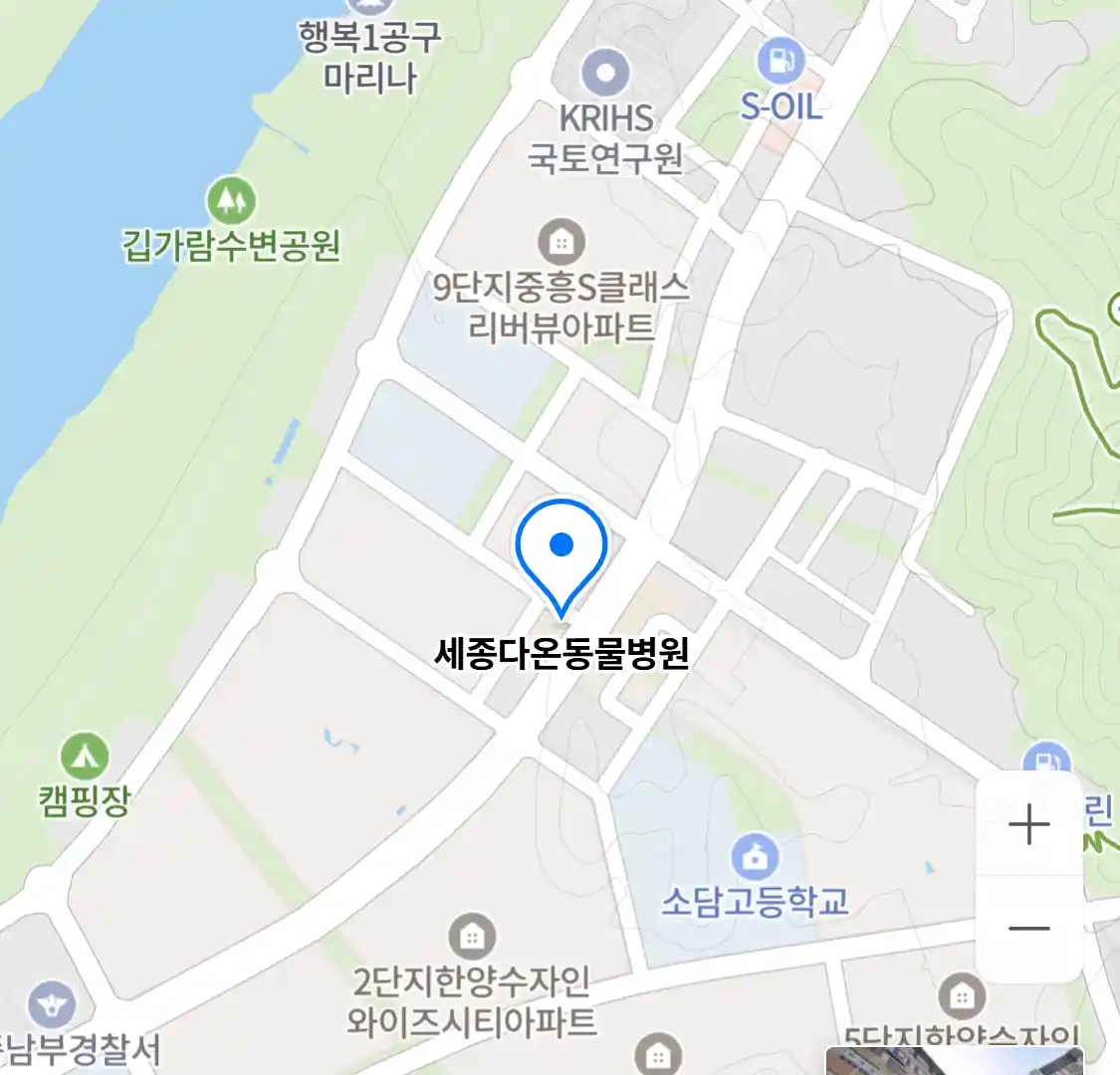 세종다온동물병원