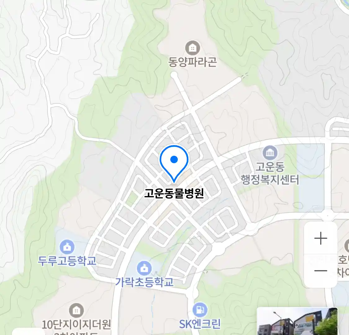 고운동물병원