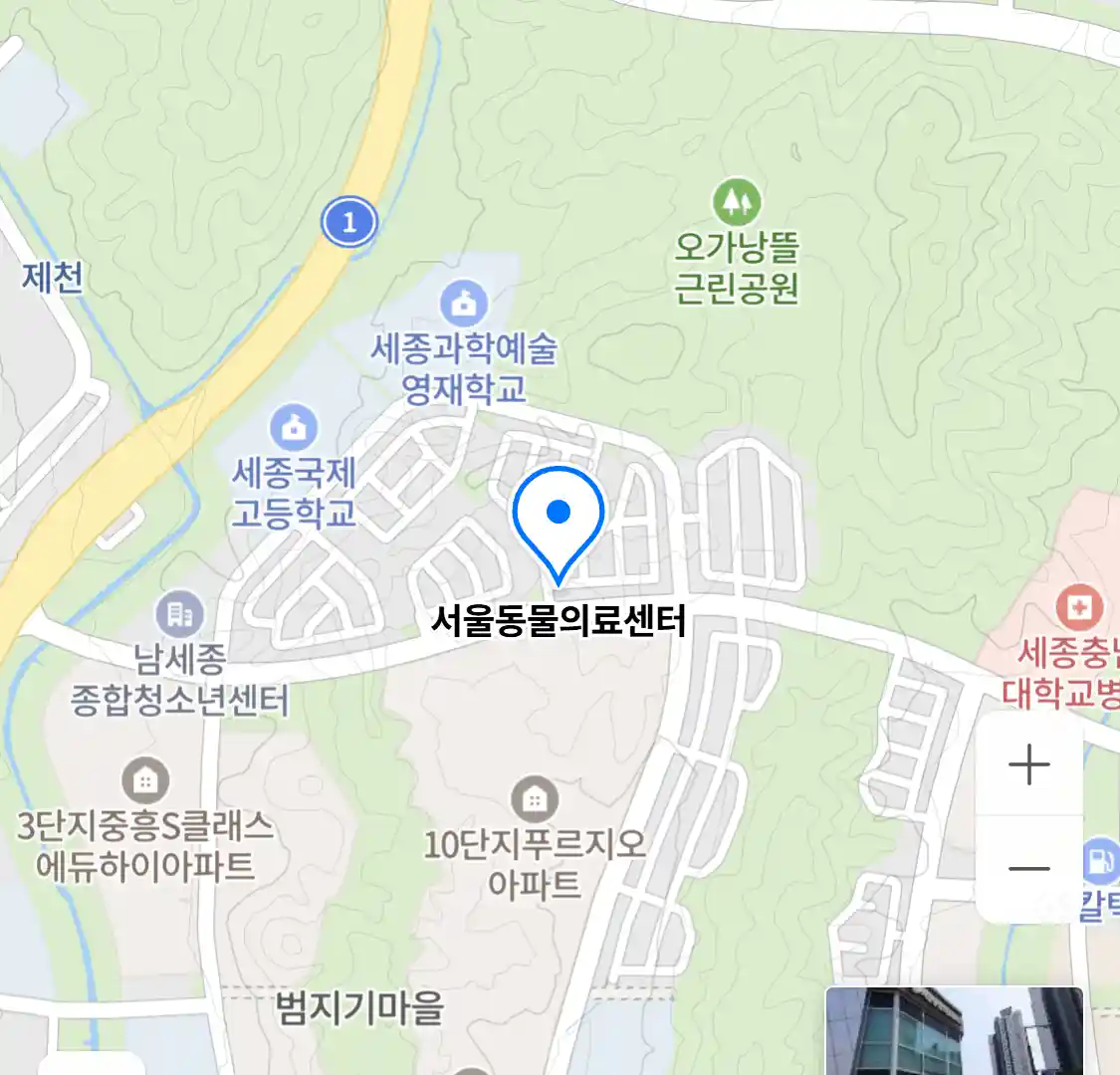 서울동물의료센터