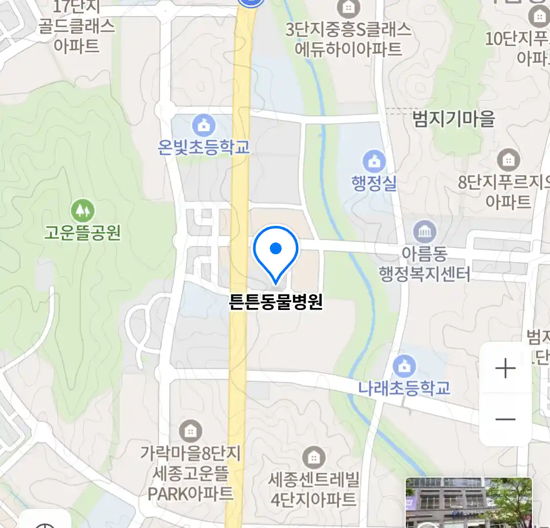 튼튼동물병원