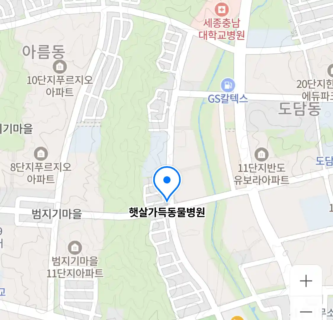 햇살가득동물병원