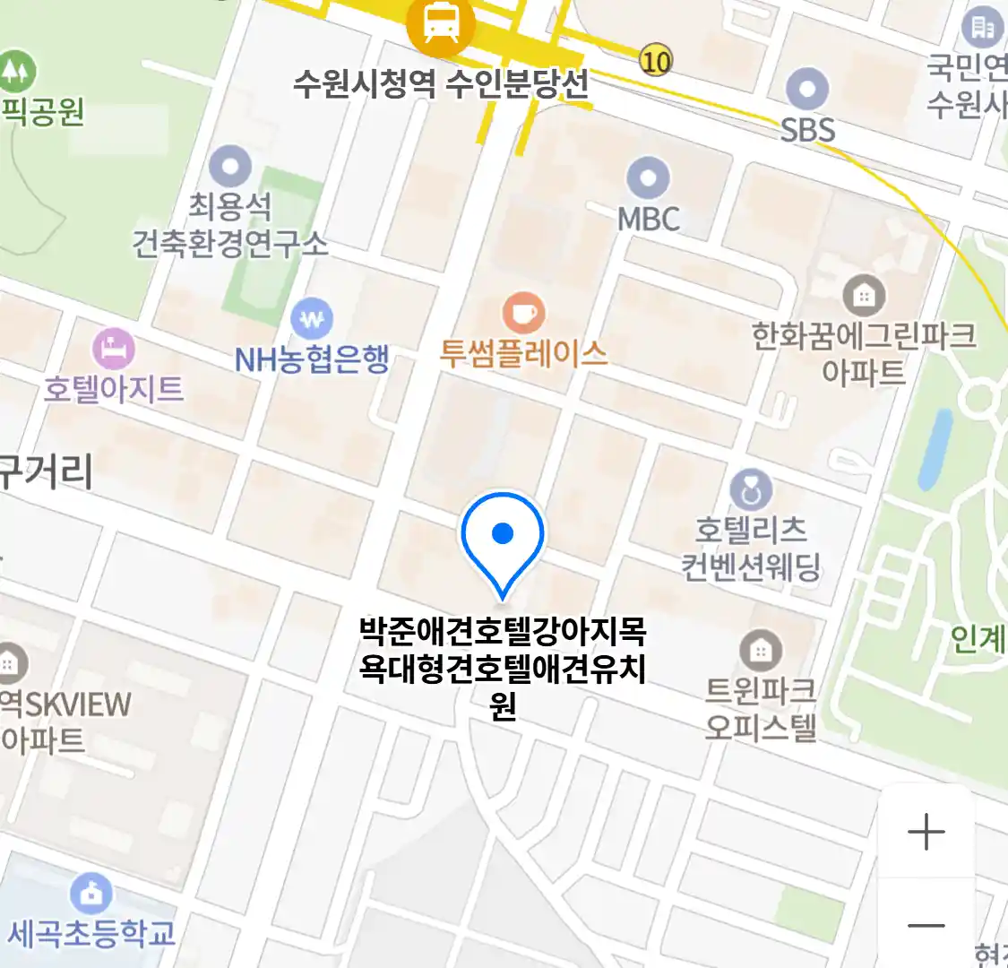 박준애견호텔강아지목욕대형견호텔애견유치원