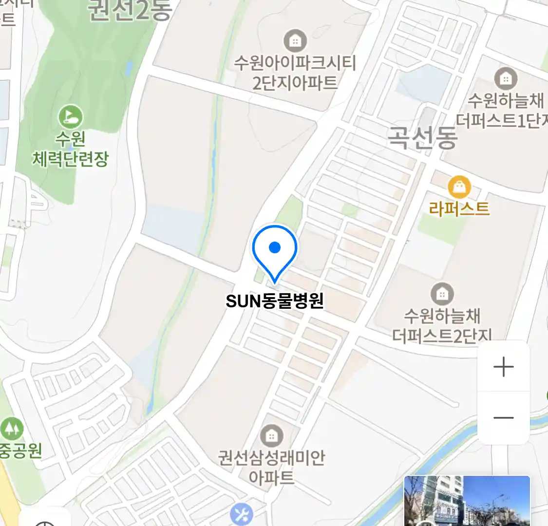 SUN동물병원
