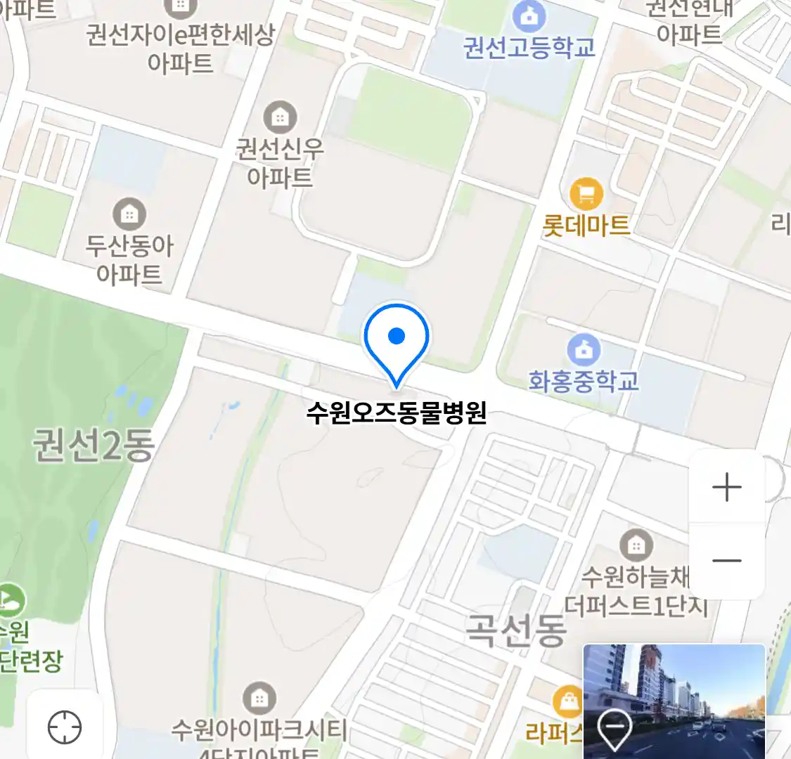 수원오즈동물병원