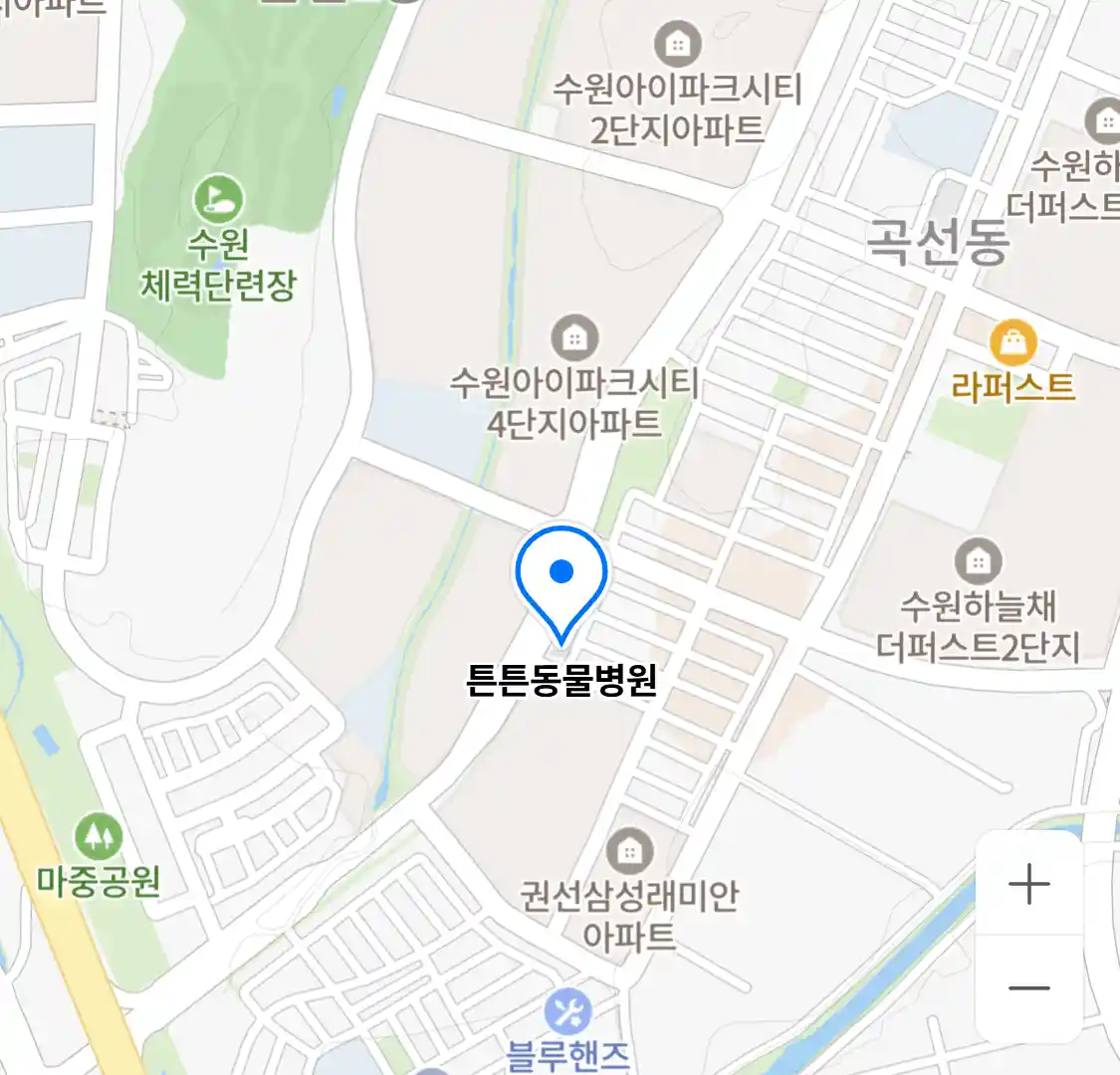 튼튼동물병원