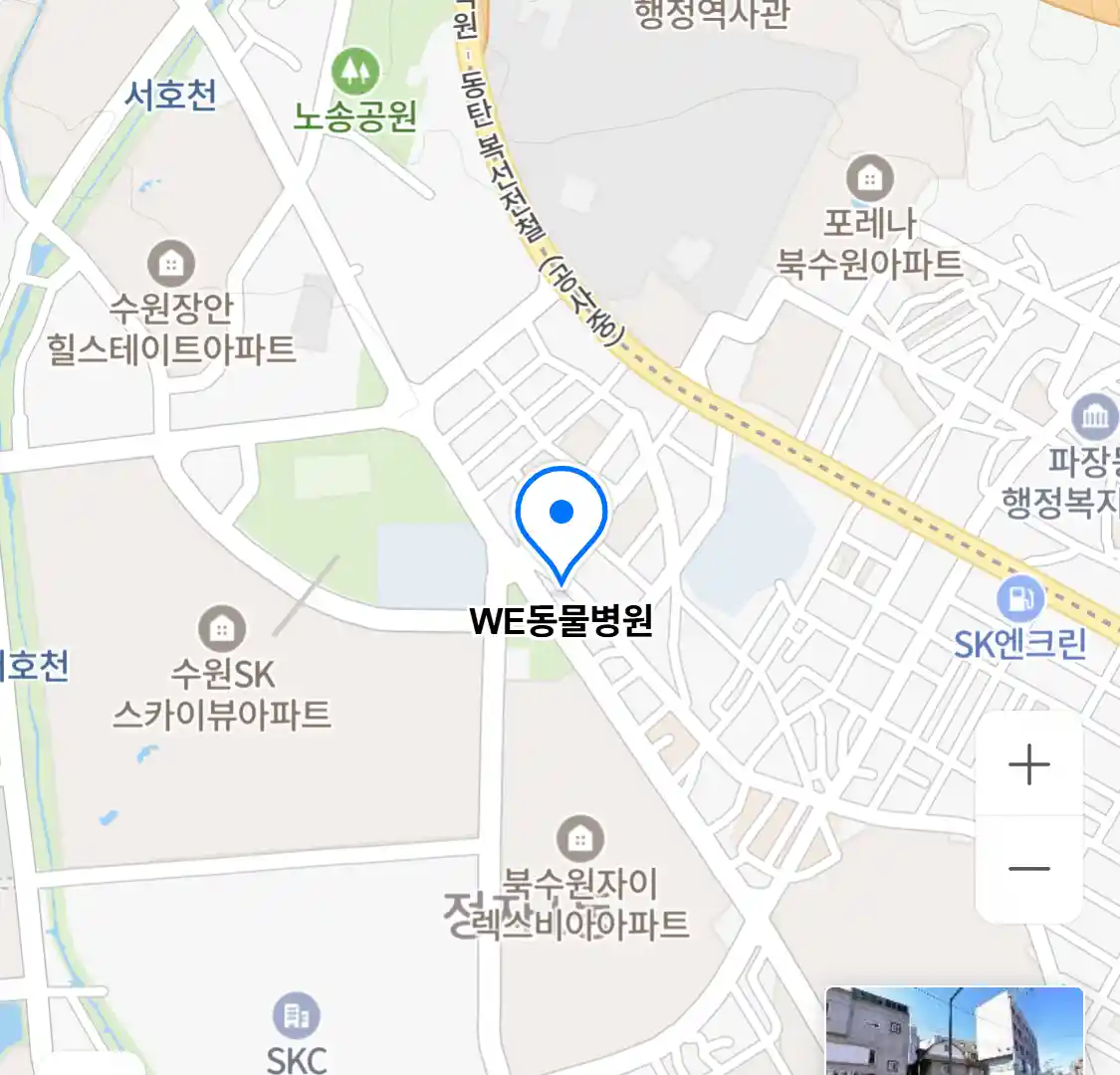 WE동물병원