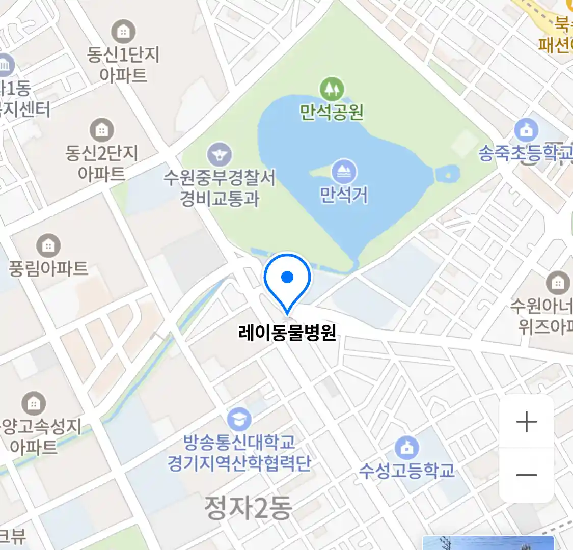 레이동물병원