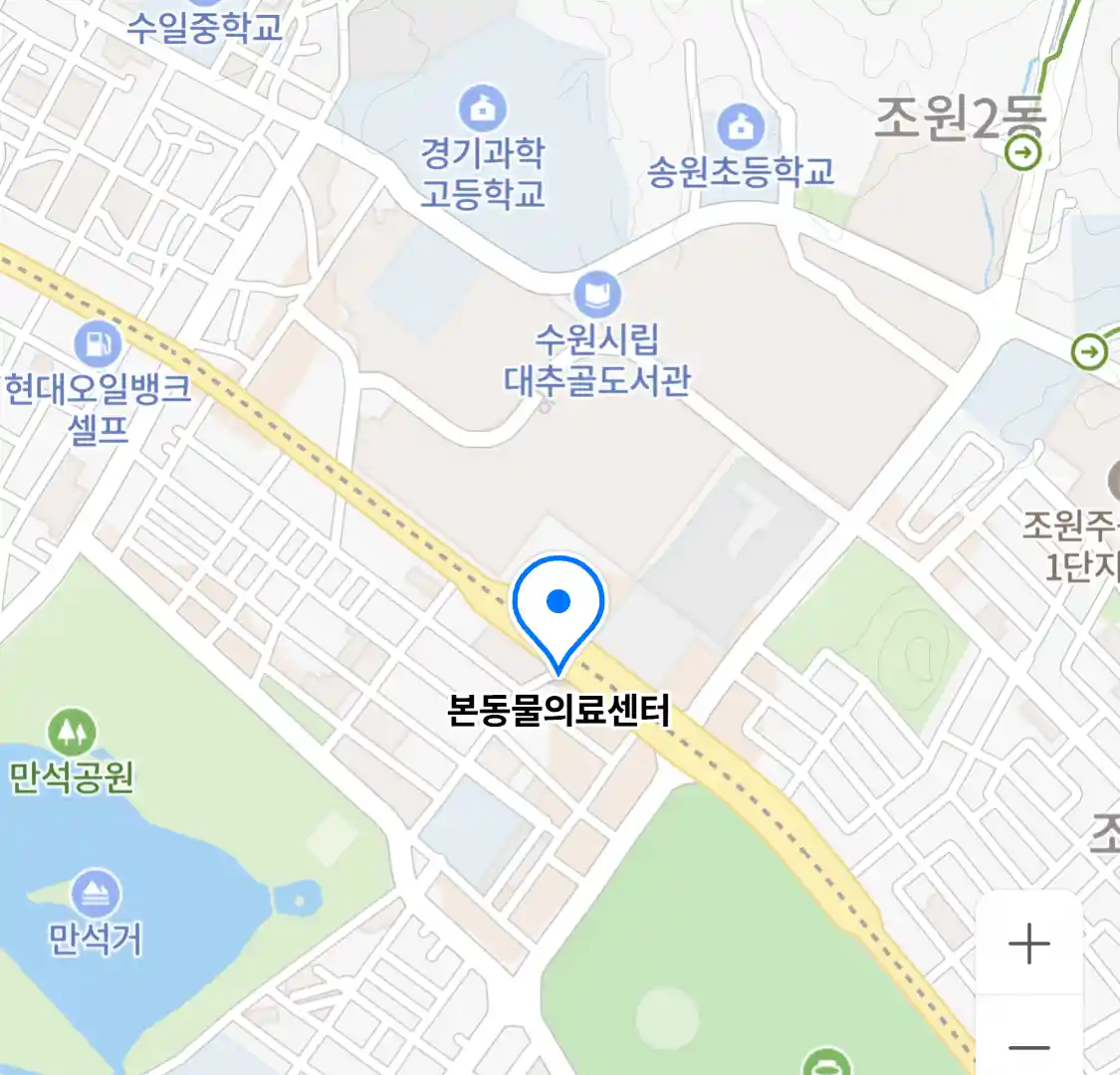 본동물의료센터