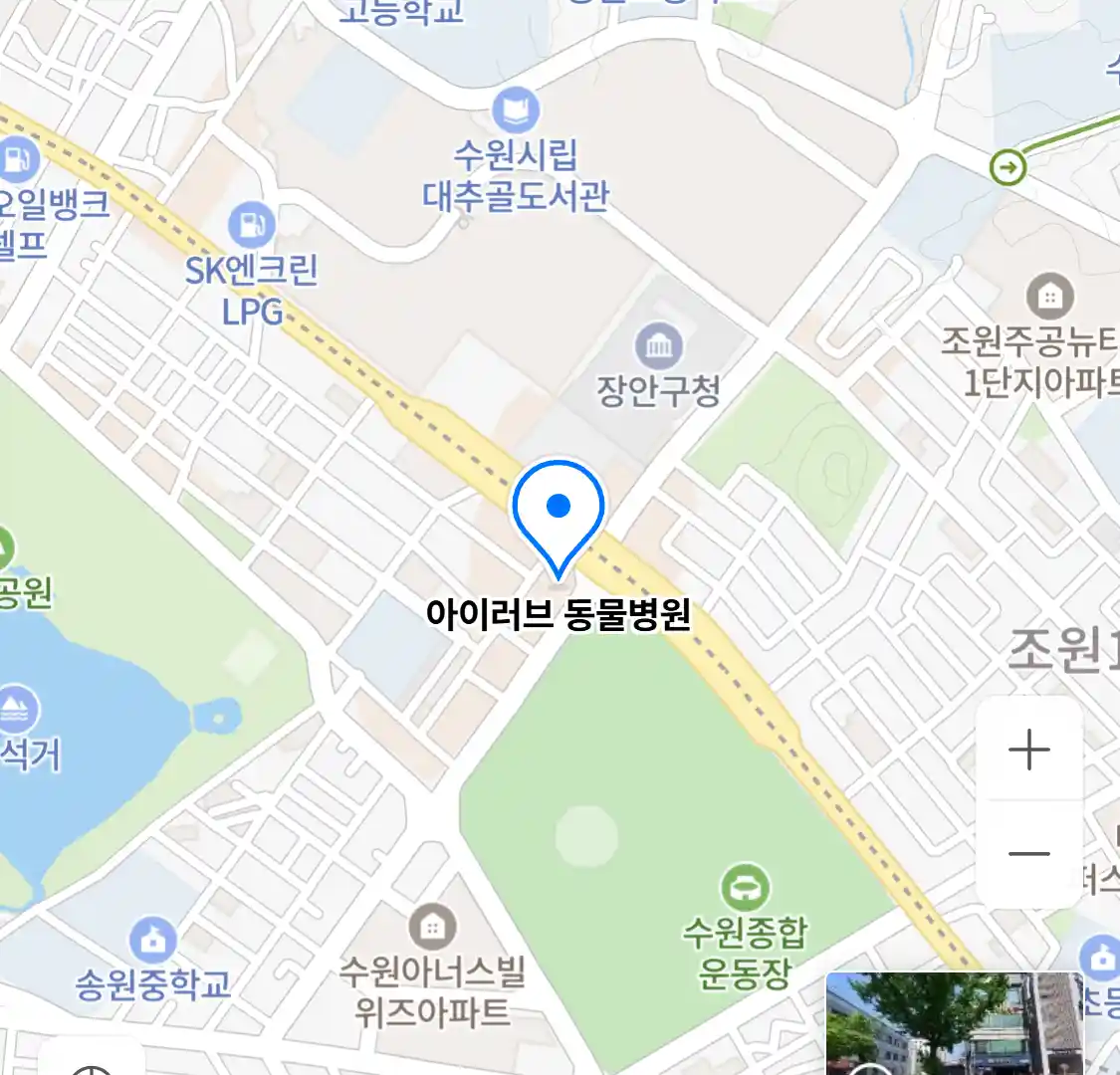 아이러브 동물병원