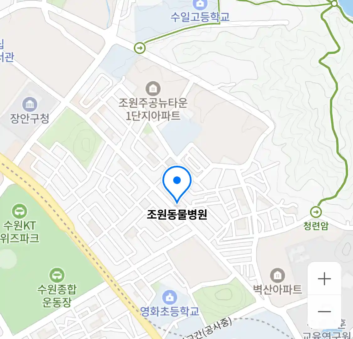 조원동물병원