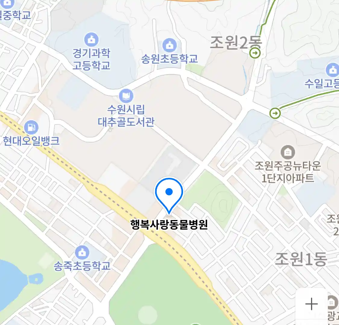 행복사랑동물병원