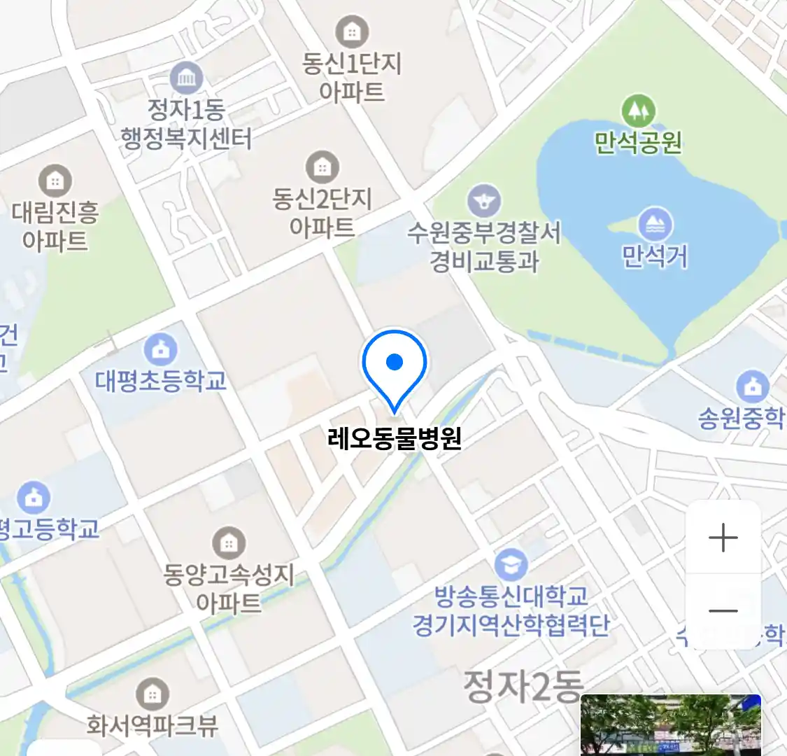 레오동물병원