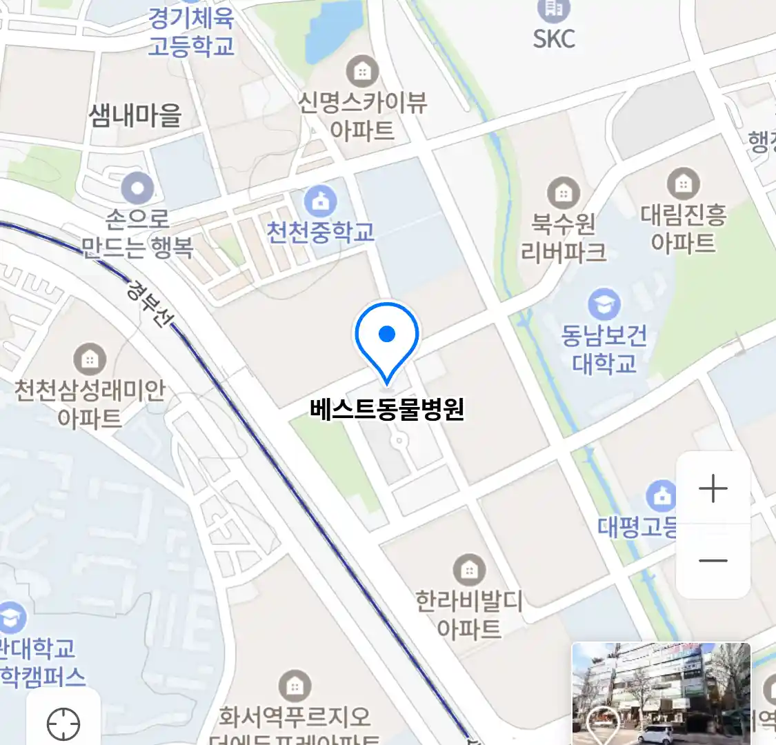 베스트동물병원