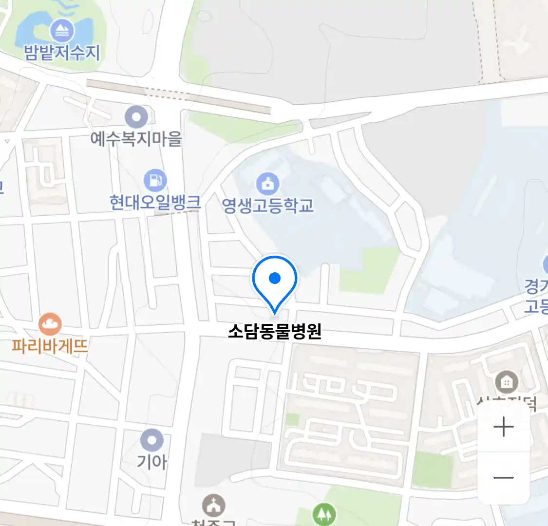 소담동물병원