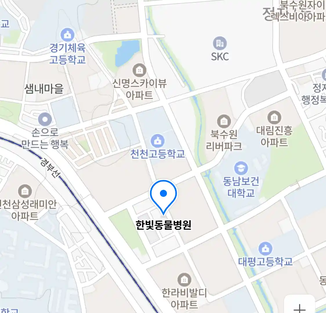 한빛동물병원