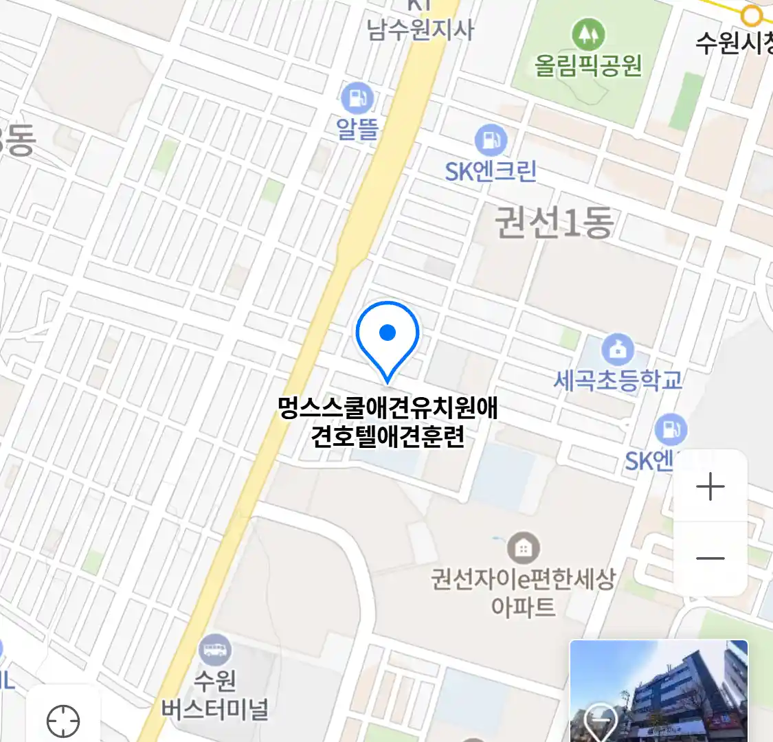 멍스스쿨애견유치원애견호텔애견훈련