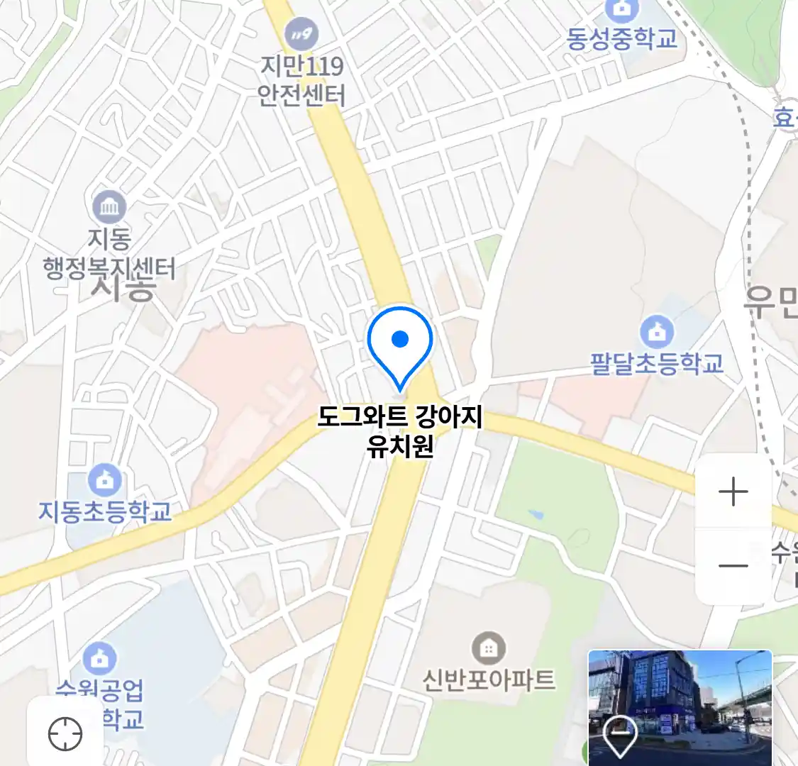 도그와트 강아지 유치원