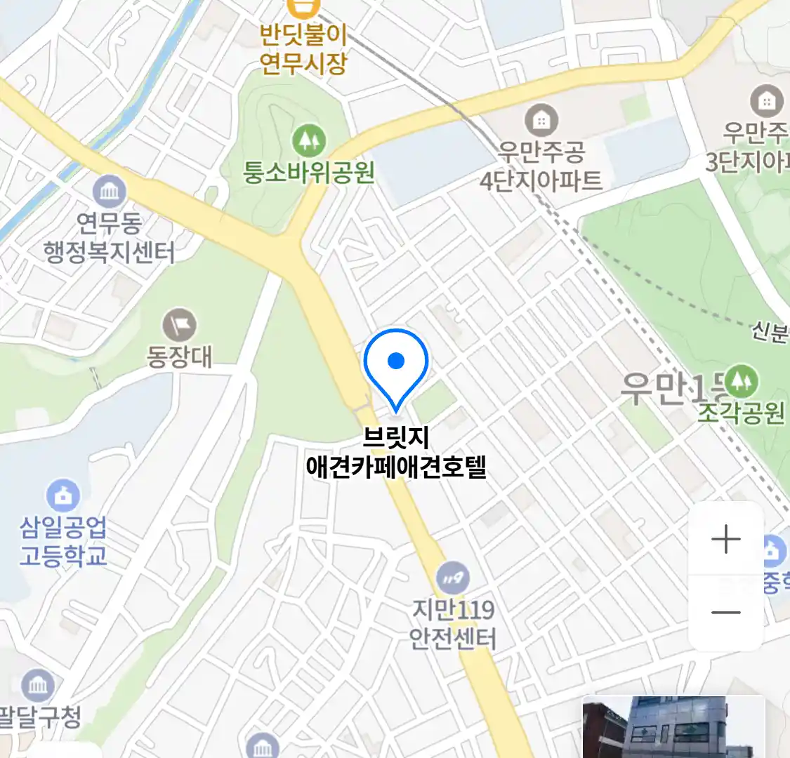 브릿지 애견카페애견호텔