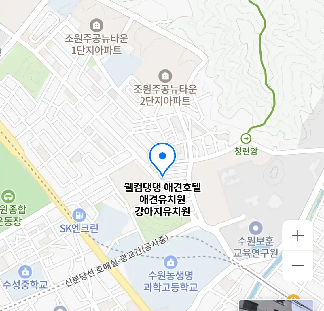 웰컴댕댕 애견호텔 애견유치원 강아지유치원
