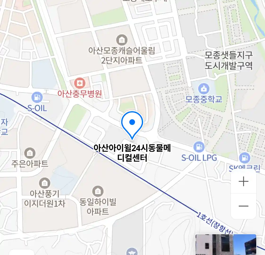 아산아이윌24시동물메디컬센터