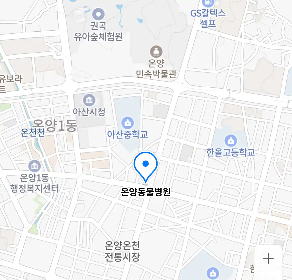 온양동물병원