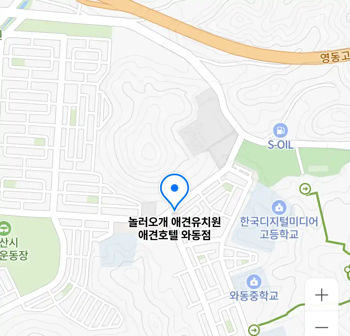 놀러오개 애견유치원 애견호텔 와동점