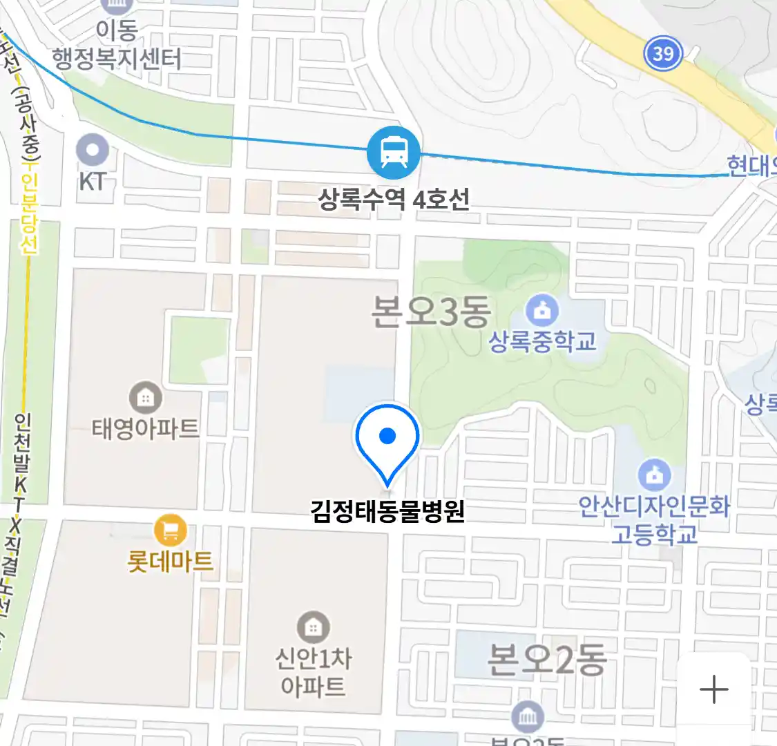 김정태동물병원