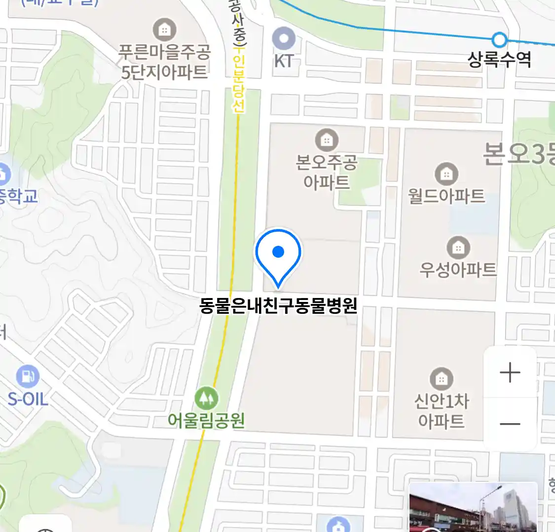 동물은내친구동물병원