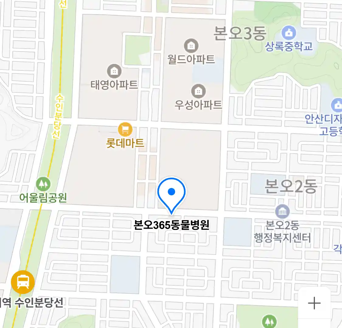 본오365동물병원