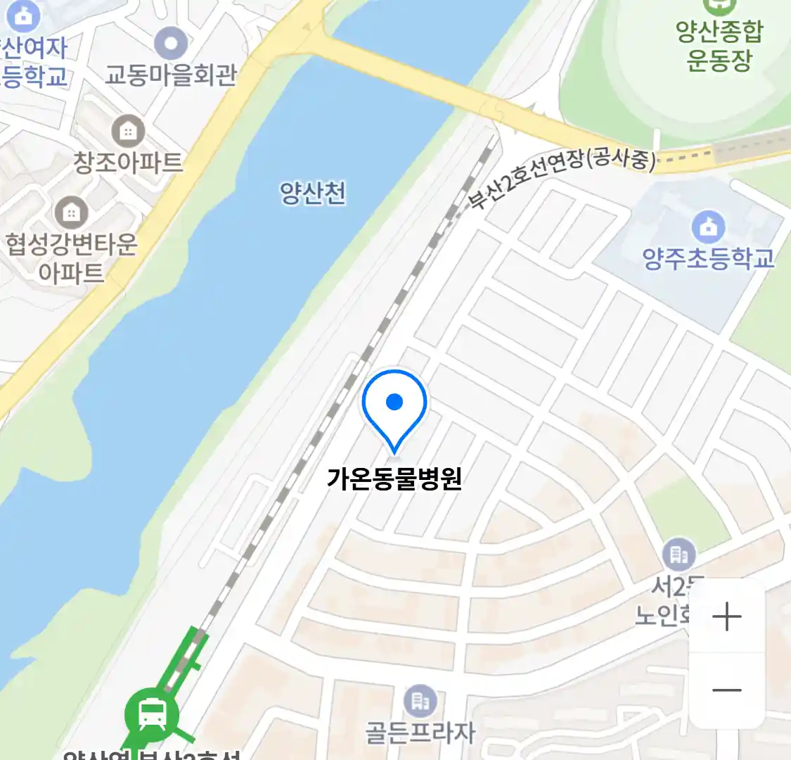 가온동물병원