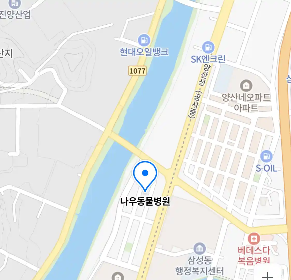 나우동물병원