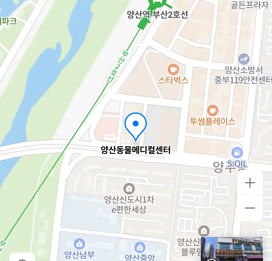 양산동물메디컬센터