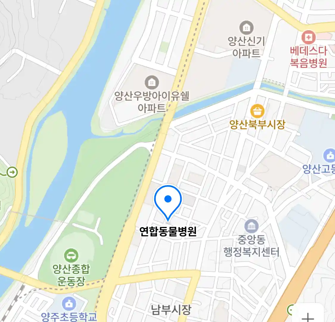 연합동물병원