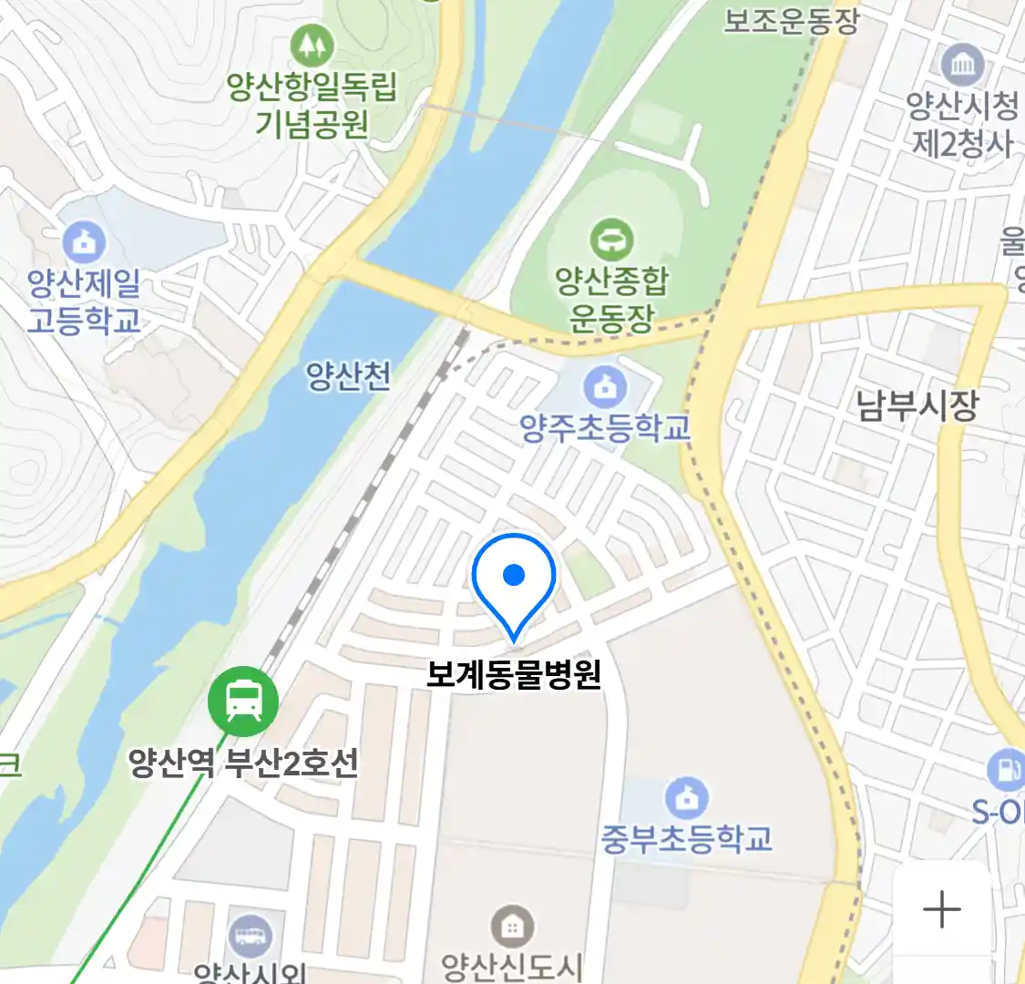 보계동물병원