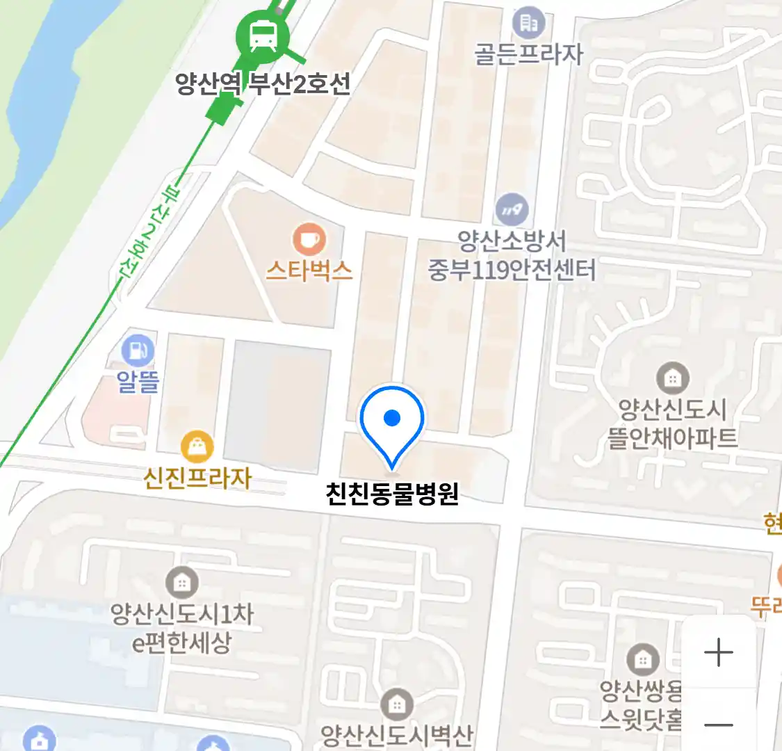 친친동물병원