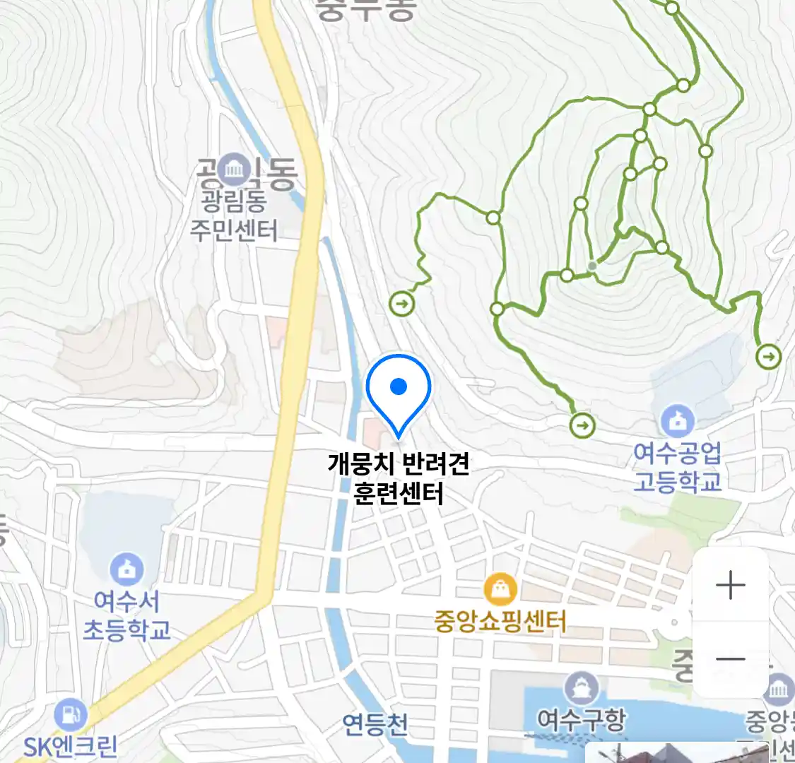개뭉치 반려견 훈련센터