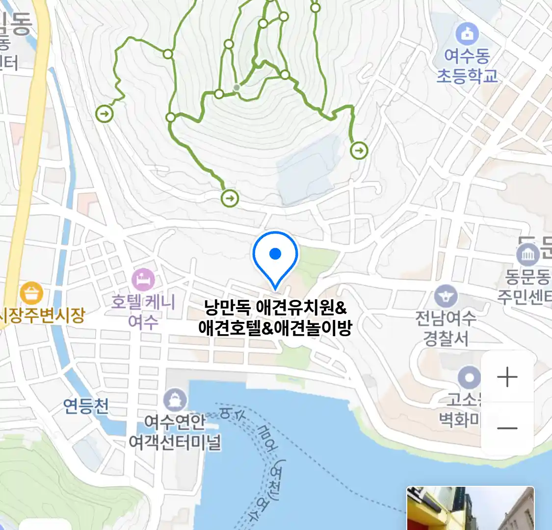 낭만독 애견유치원&애견호텔&애견놀이방