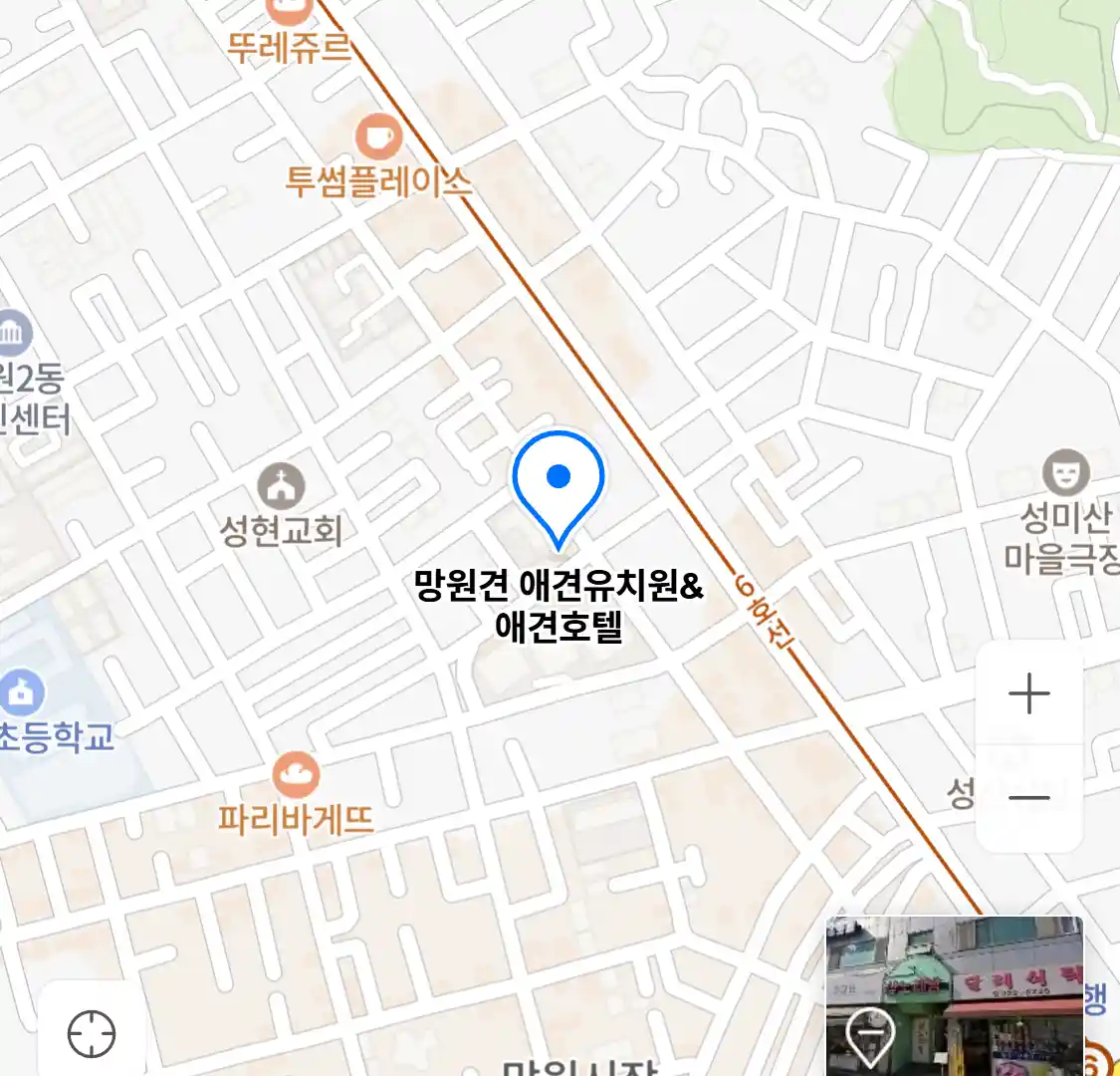 망원견 애견유치원&애견호텔