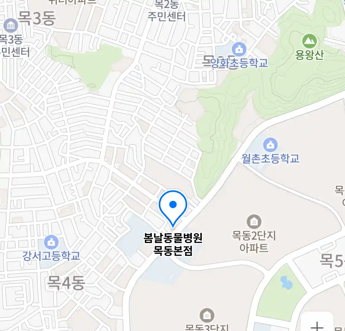 봄날동물병원 목동본점