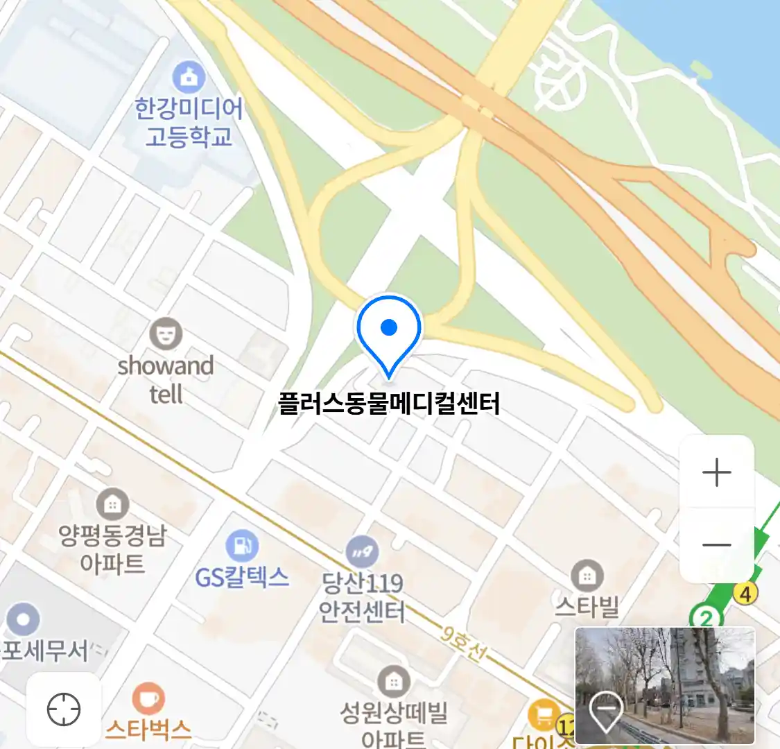 플러스동물메디컬센터