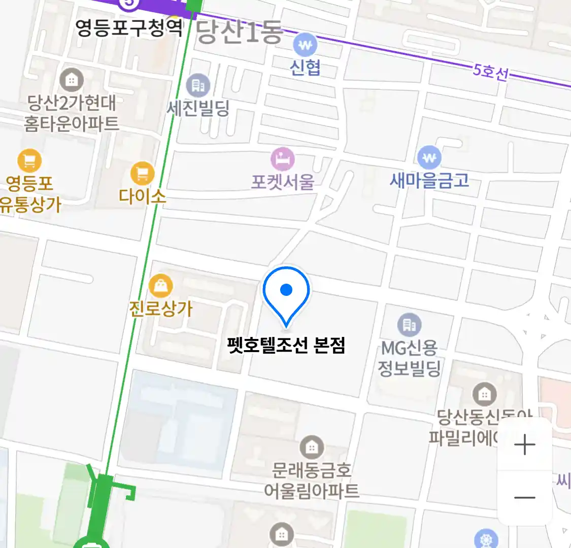 펫호텔조선 본점