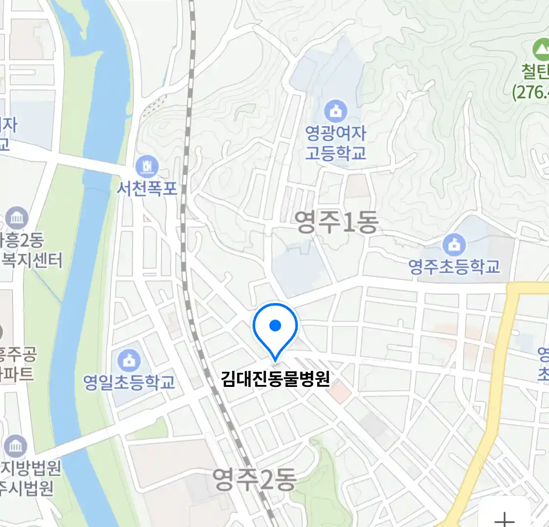 김대진동물병원