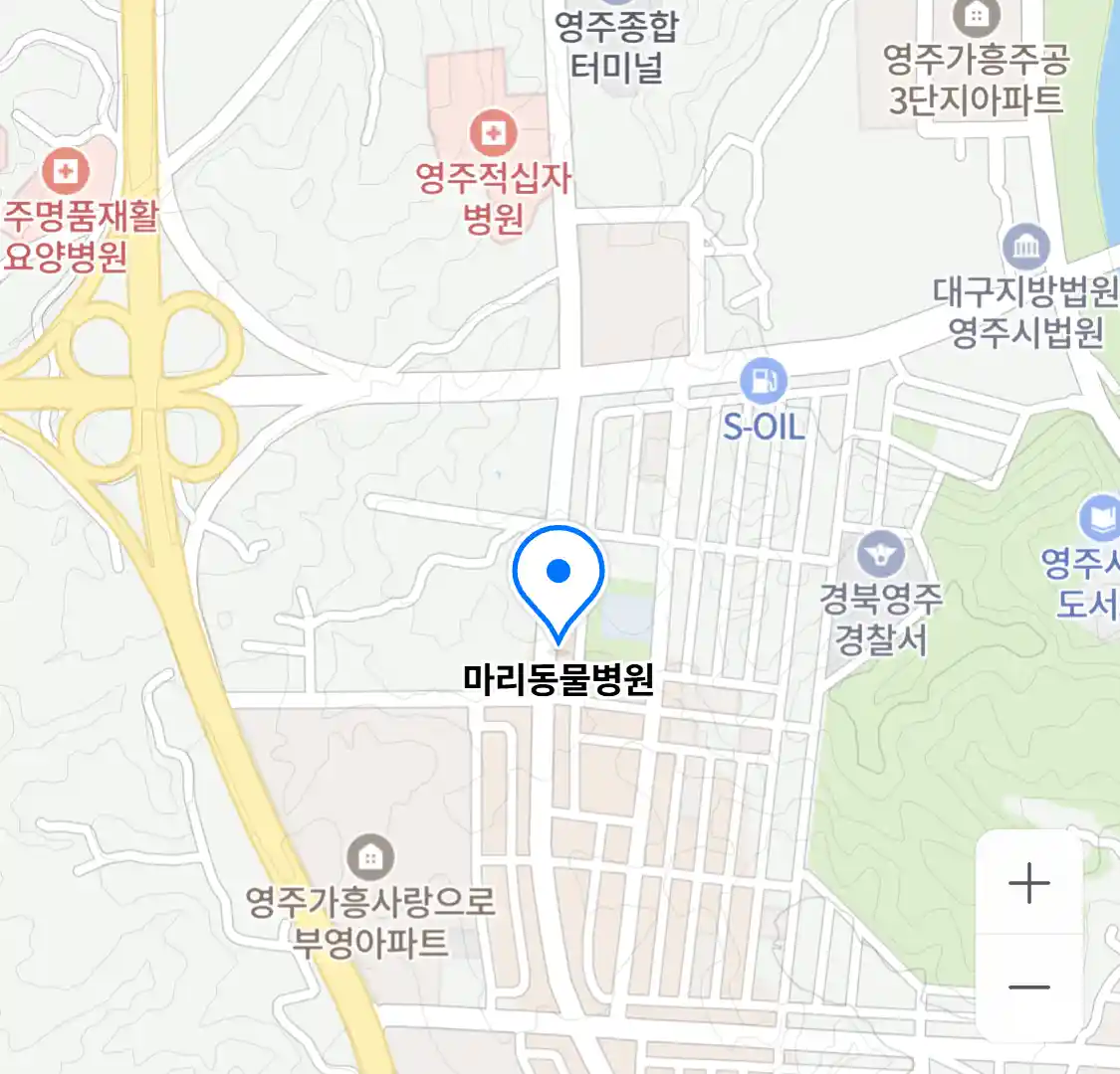 마리동물병원