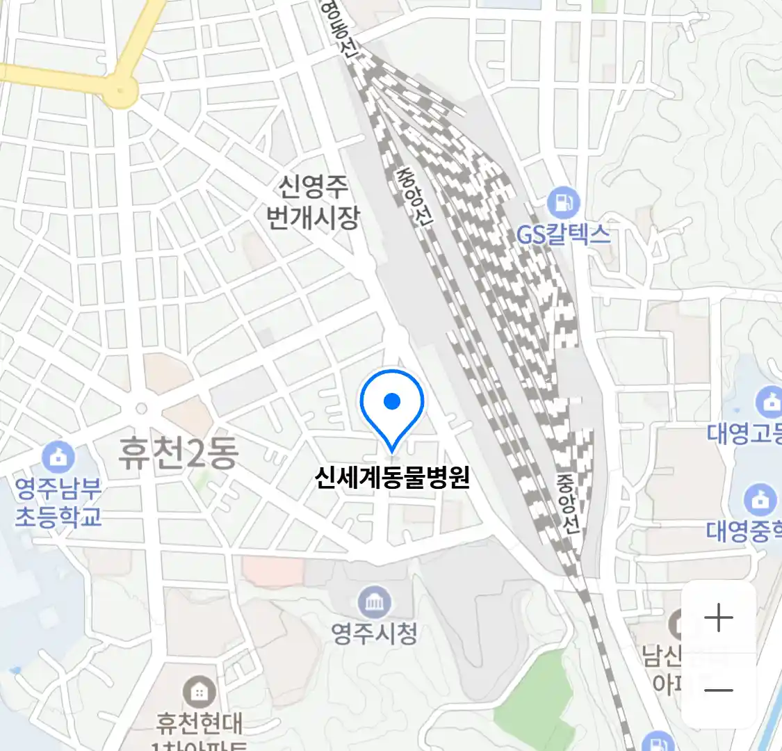 신세계동물병원