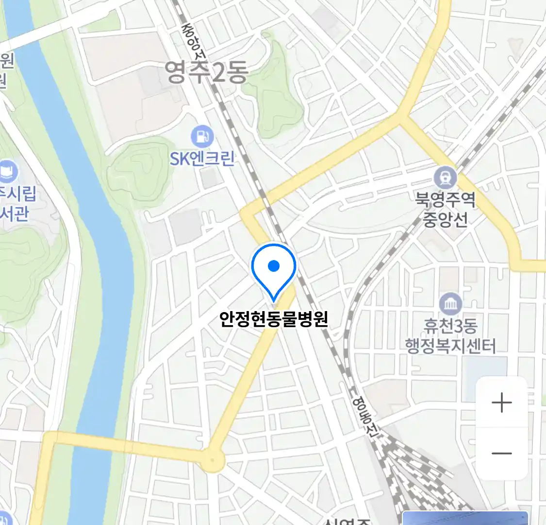 안정현동물병원