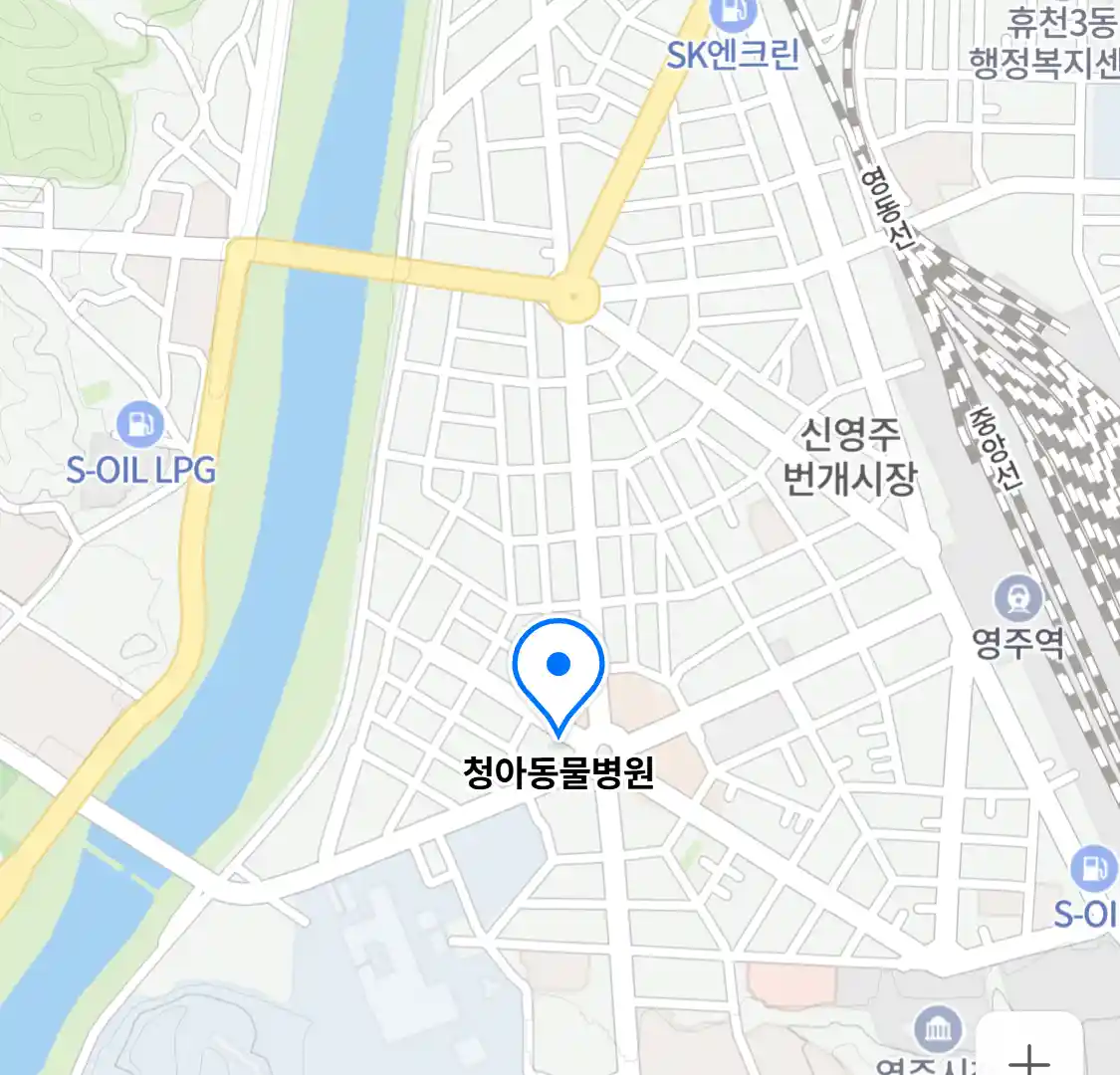 청아동물병원