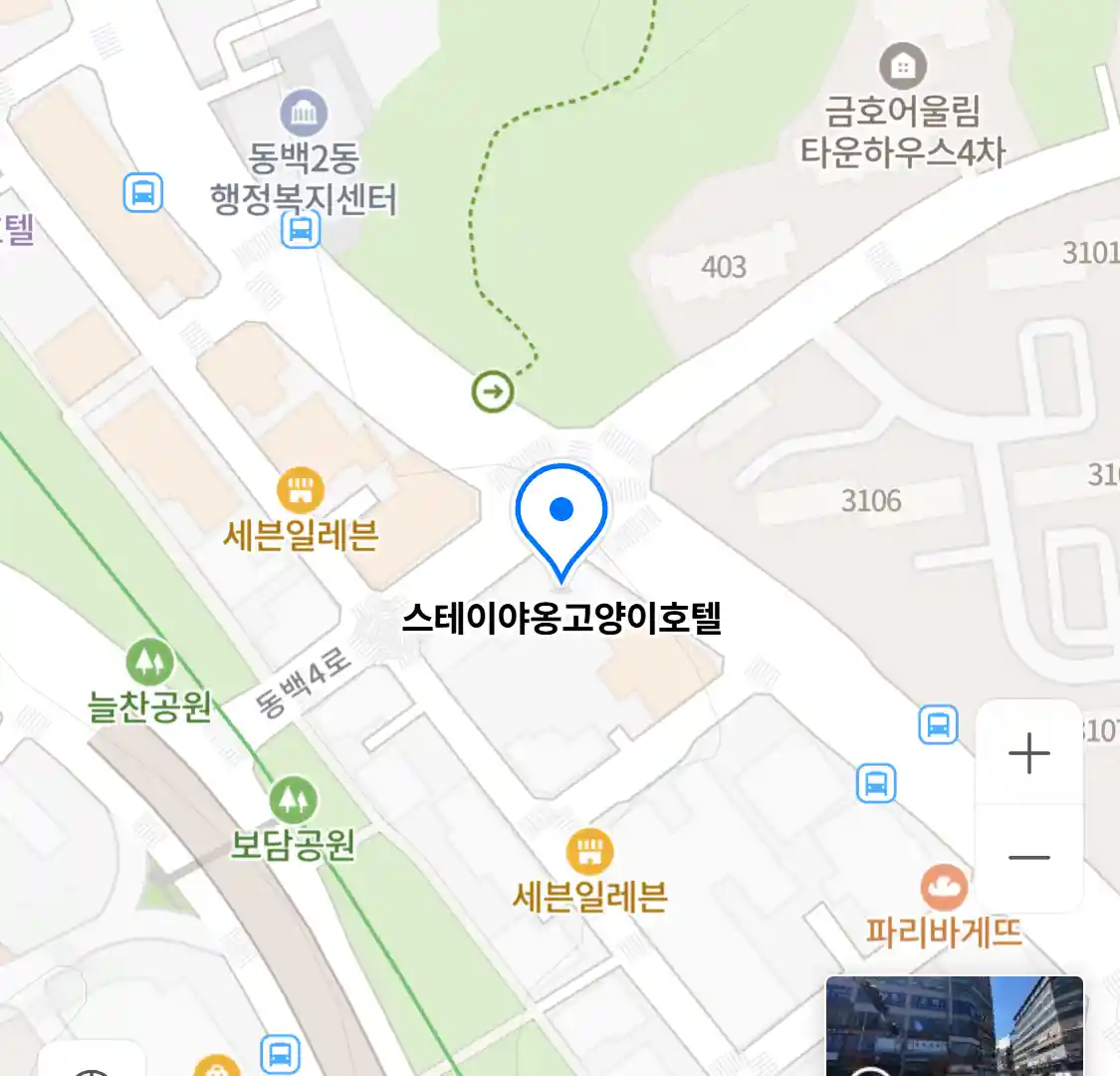 스테이야옹고양이호텔