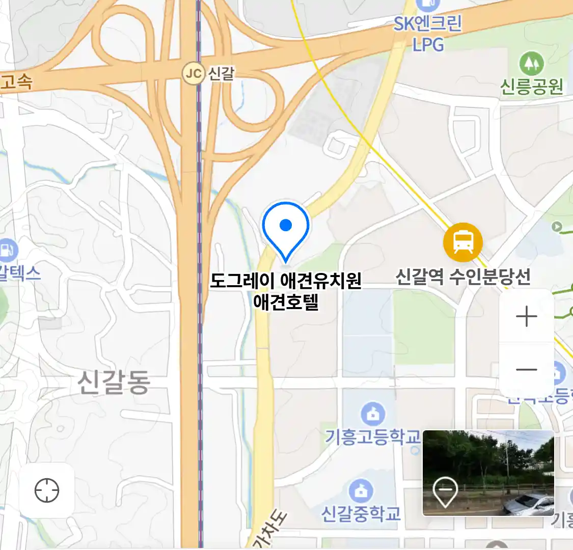 도그레이 애견유치원 애견호텔 위치